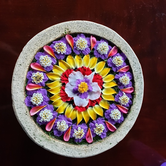 Meet your Posher, Sela - Picture 1 of 1